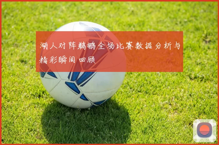 湖人对阵鹈鹕全场比赛数据分析与精彩瞬间回顾