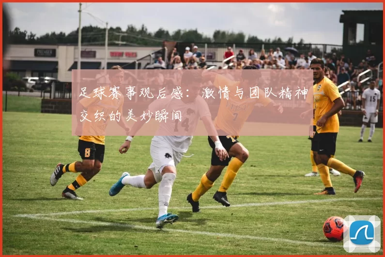 足球赛事观后感：激情与团队精神交织的美妙瞬间