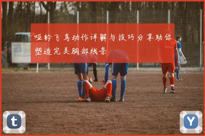 哑铃飞鸟动作详解与技巧分享助你塑造完美胸部线条